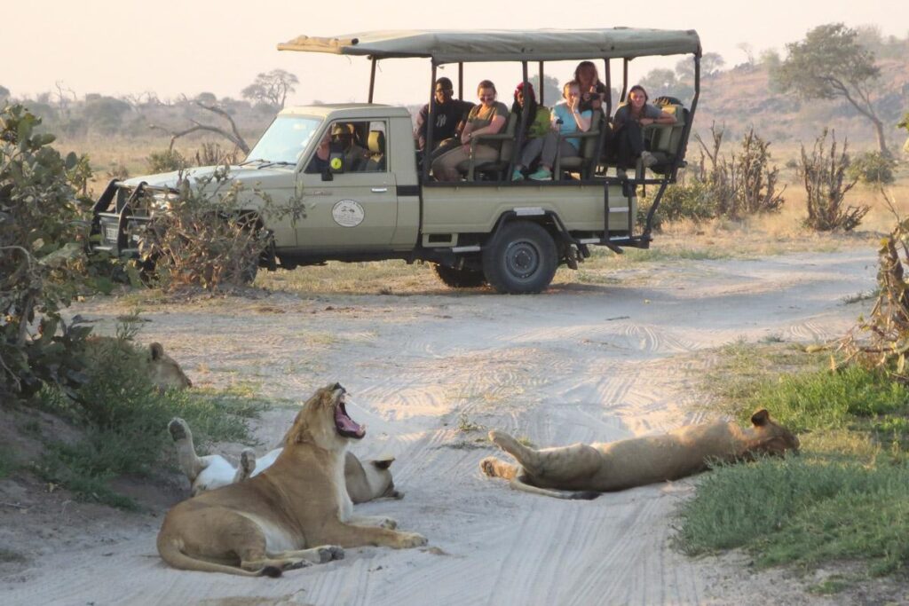 CHOBE FULL DAY TRIP