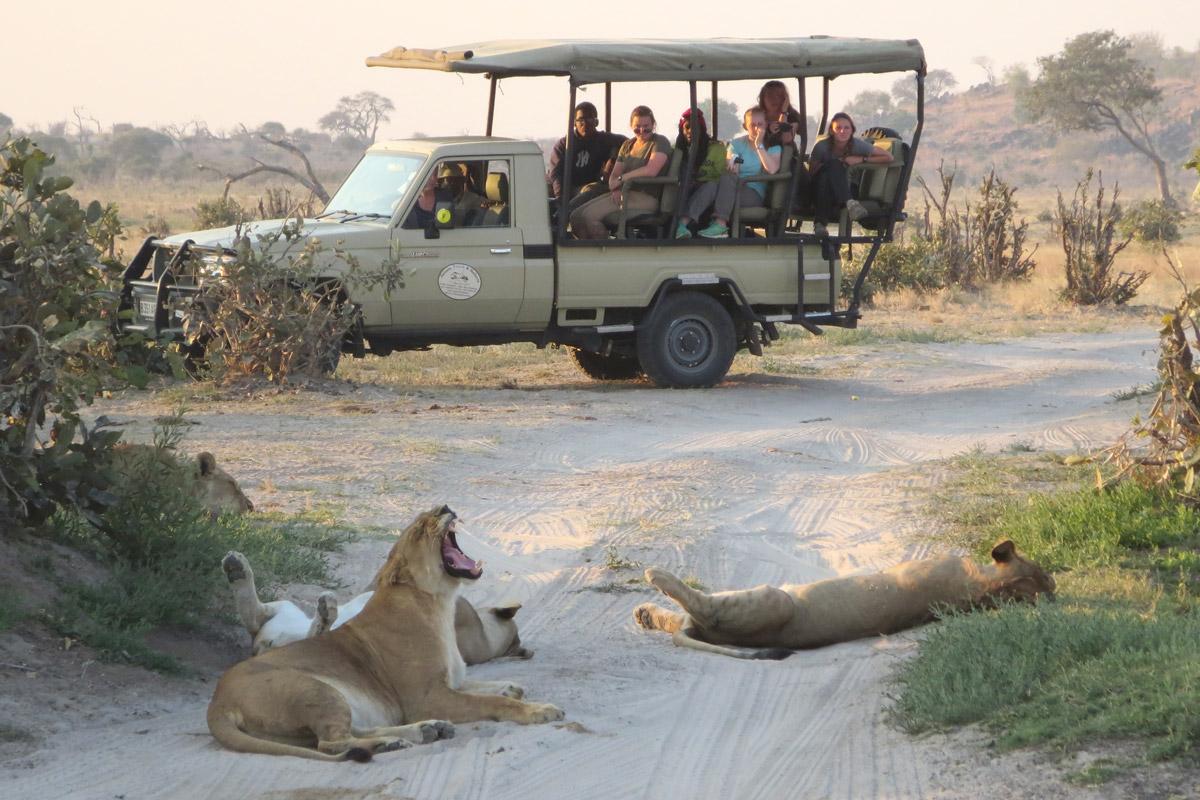 Main image for CHOBE FULL DAY TRIP
